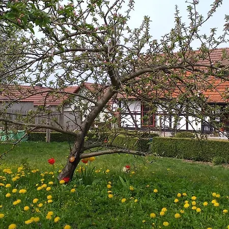 Töpferhof Hotel 2*